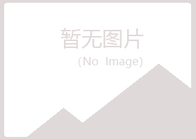 山西夏岚材料有限公司